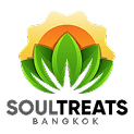 Stb Logo